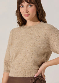 ASTR THE LABEL COLETTE CREWNECK SWEATER - OATMEAL MULTI