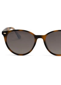DAX EYEWEAR ASHER SUNGLASSES - SHELL