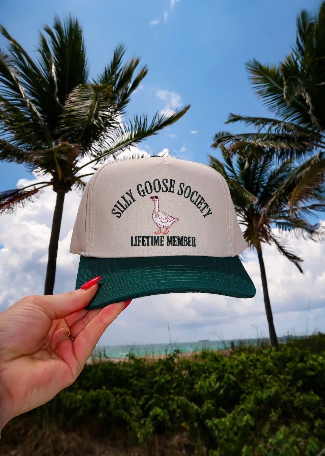 SILLY GOOSE SOCIETY HAT