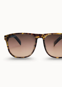 DAX EYEWEAR JAX SUNGLASSES - BROWN