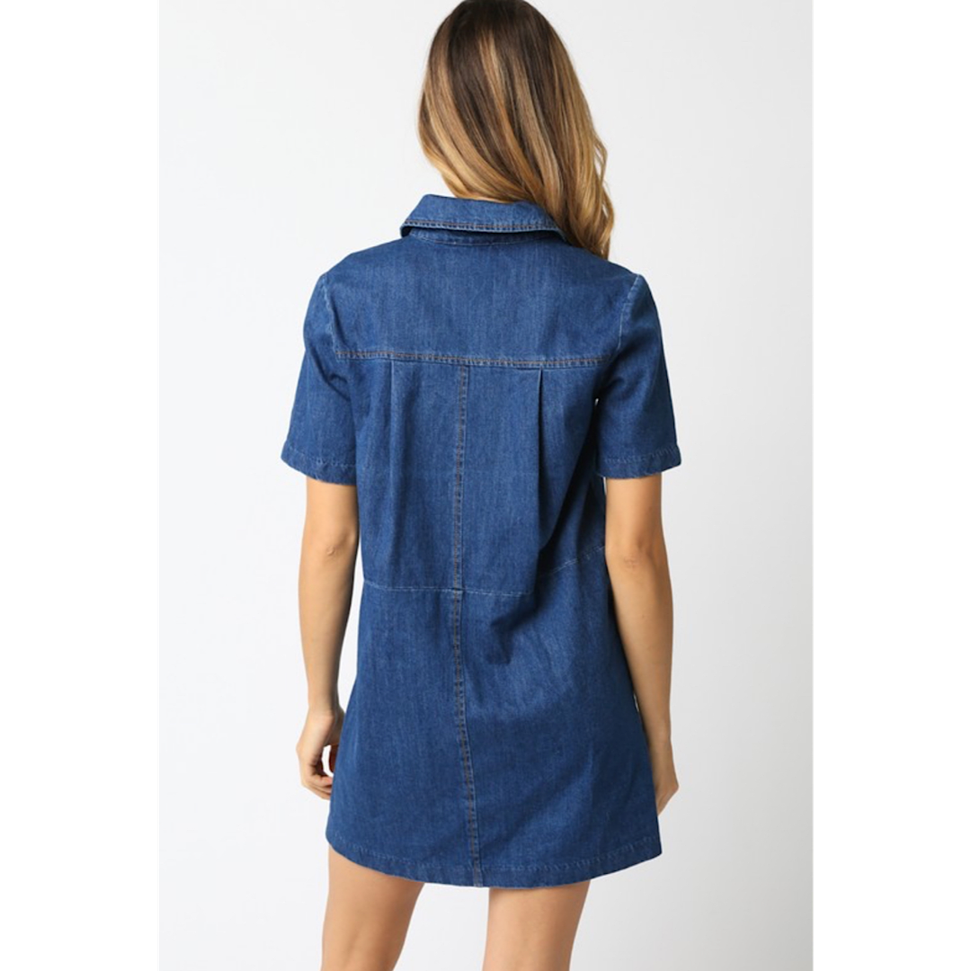 THE LYDIA DENIM DRESS