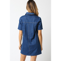 THE LYDIA DENIM DRESS