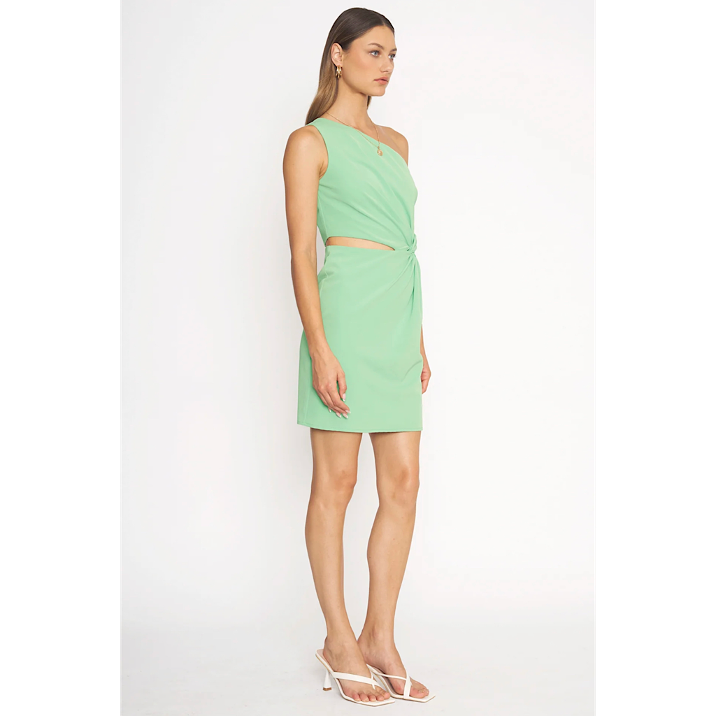 THE JANETTE DRESS